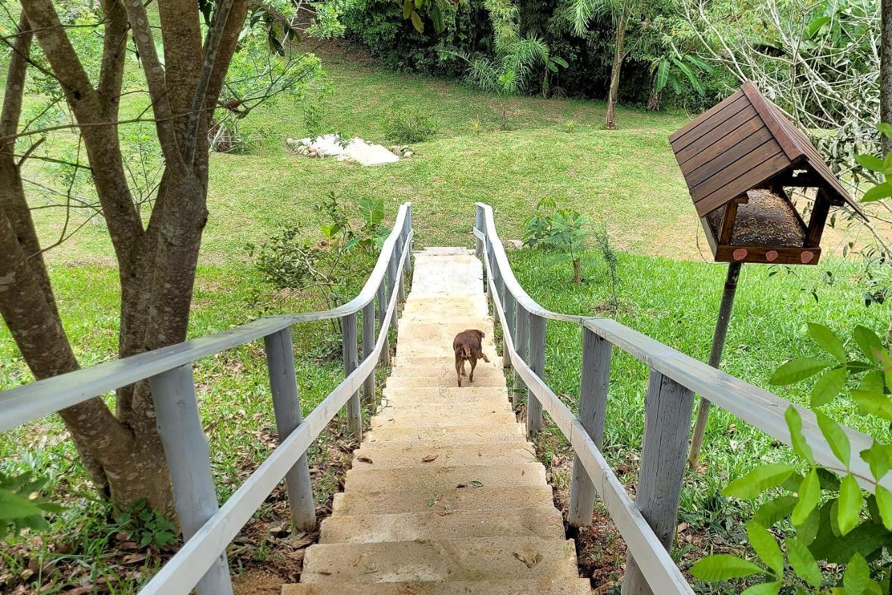 Recanto Dos Sabias - Chales Sao Bonifacio Sc Eksteriør bilde